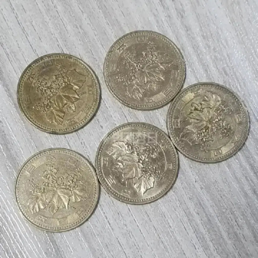 [BUNJANG] Japanese Yen Coin Bundle / 일본동전