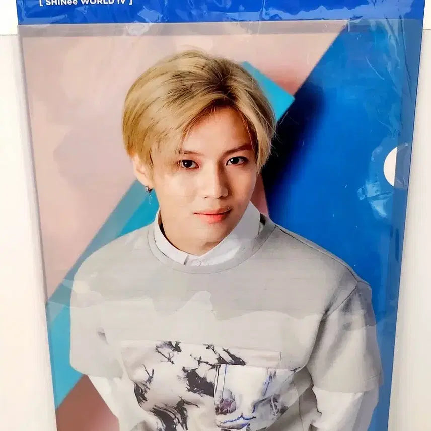 [BUNJANG] 샤이니 태민 L홀더 파일 화일 / (6월 세일)샤이니 태민 L홀더 파일 화일