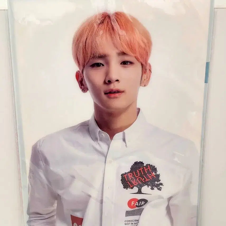 [BUNJANG] SHINee Key L-Holder File / (5월 세일)샤이니 키 L홀더 파일 화일