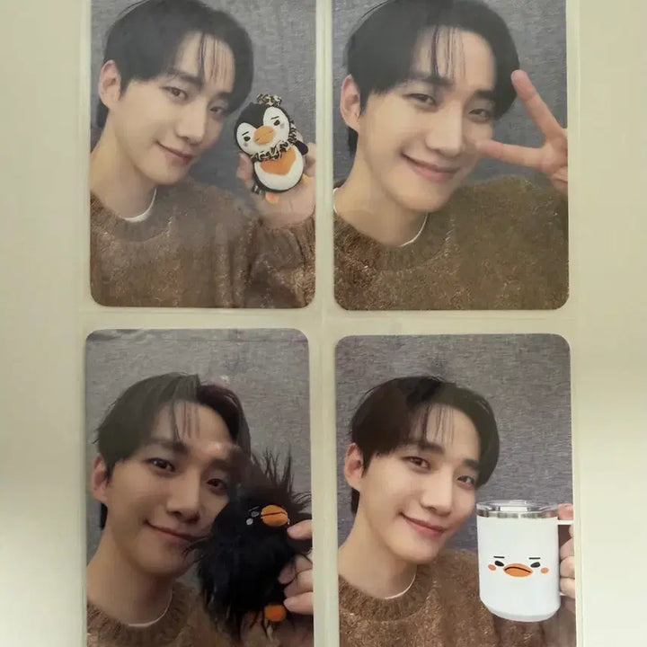 [BUNJANG] Junho Japan Pop-up POB Photocard / 이준호 일본 팝업 특전 드볼