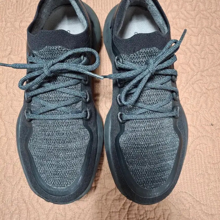 [BUNJANG] Allbirds Trail Running Shoes 270 / 270 올버즈 트레일 러닝화 운동화 [1180]