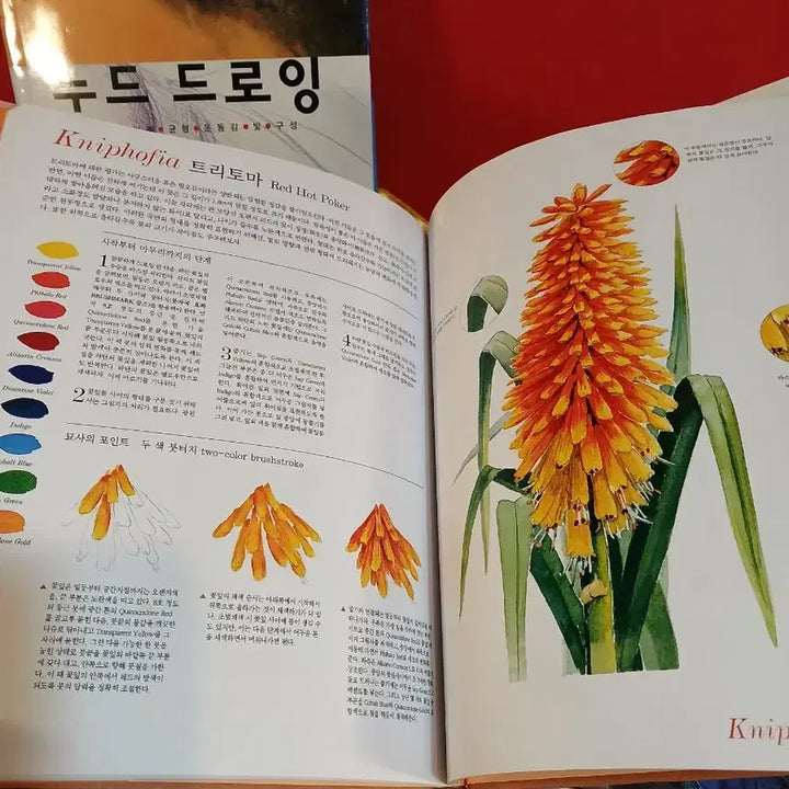 [BUNJANG] Various Art Books Bundle Set / 미술서적 4권