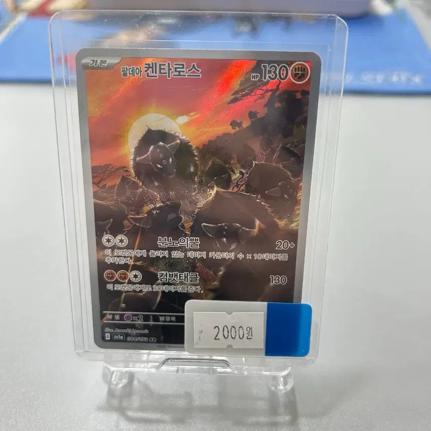 [SOLD OUT] 포켓몬카드 팔데아 켄타로스 AR (S급) - 트리플렛비트