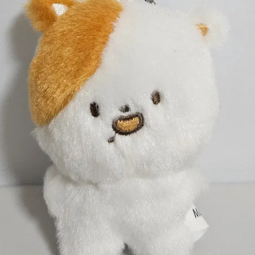 [BUNJANG] NCT Dream Jisung Pocketzzi Doll / 엔시티 드림 지성인형 포켓찌 팝니다