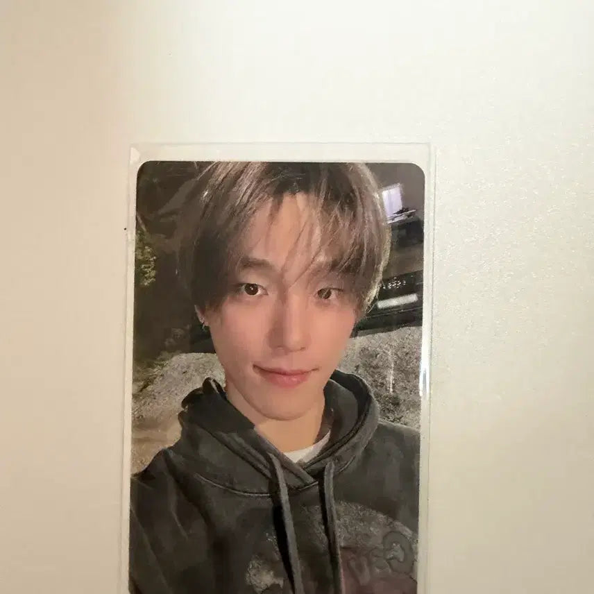 [BUNJANG] SEVENTEEN Dino In the Soop Photocard / 세븐틴 In the soop 디노 포토카드 판매