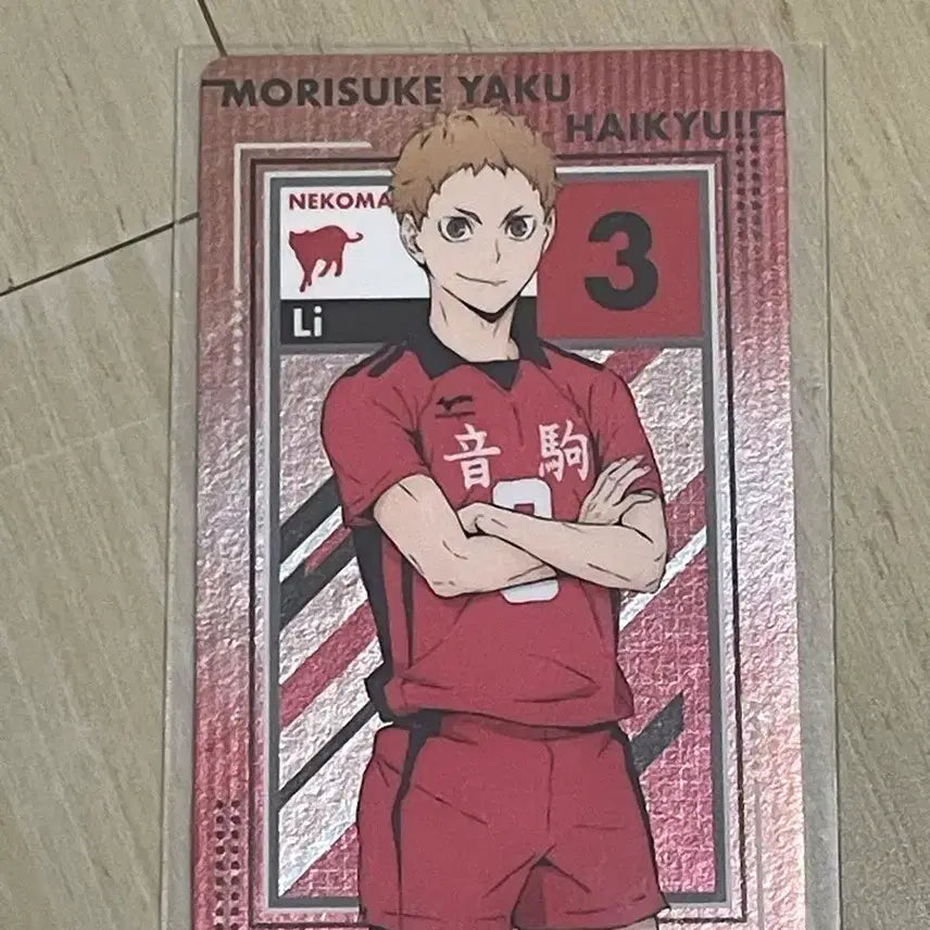 [BUNJANG] Haikyu Kenma Fuwa Kororin S Plush Doll / 하이큐 켄마 후와코로링 S