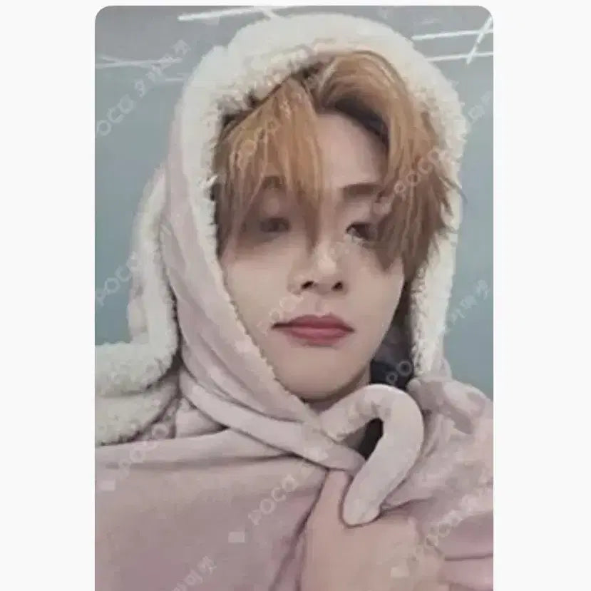 [BUNJANG] Alldayone Sangwon Todam Rabbit Blanket POB MakeStar Alldriveone Lee Sangwon / 알디원 상원 토담 토끼담요 미공포 메이크스타 알파드라이브원 이상원