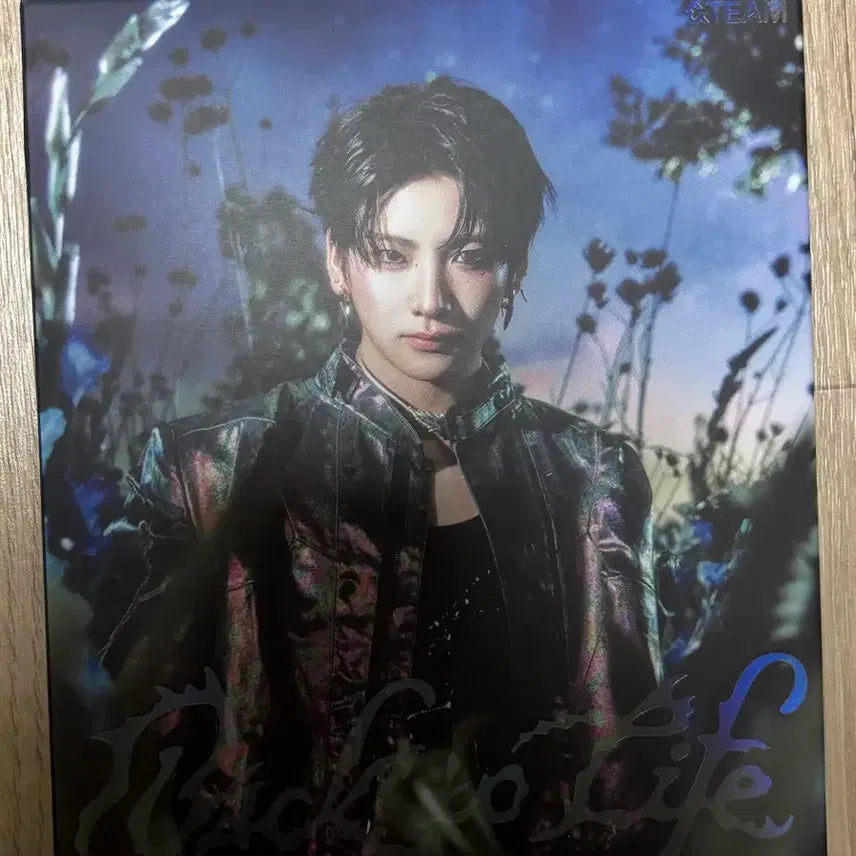 [BUNJANG] ENHYPEN Photocard Album Bundle Set / 앤팀 포카 앨범 일괄