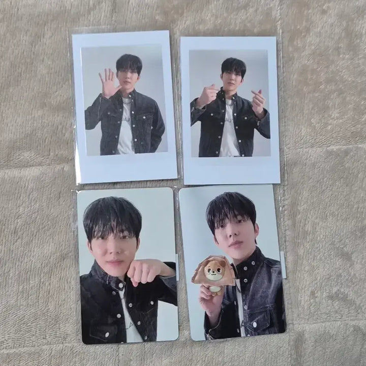 [BUNJANG] Day6 Dowoon Forever Young Finale Photocard / 데이식스 도운 포에버영 피날레 포카