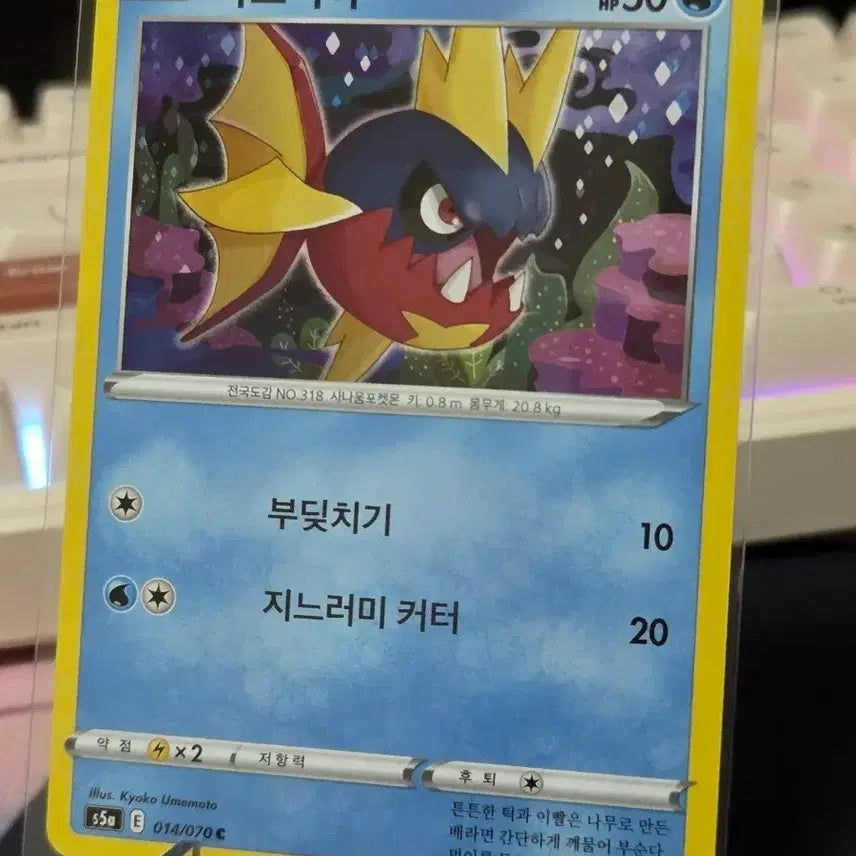 [BUNJANG] Pokemon Sharpedo Card / 포켓몬카드 샤프니인
