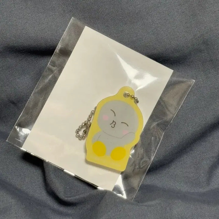 [BUNJANG] RIIZE Tokyo Dome Special Edition Eunseok Magnetic Keyring / 라이즈) 도쿄돔 스페셜 에디션 랜덤 토이 - 자석키링 송용돌이 (은석)