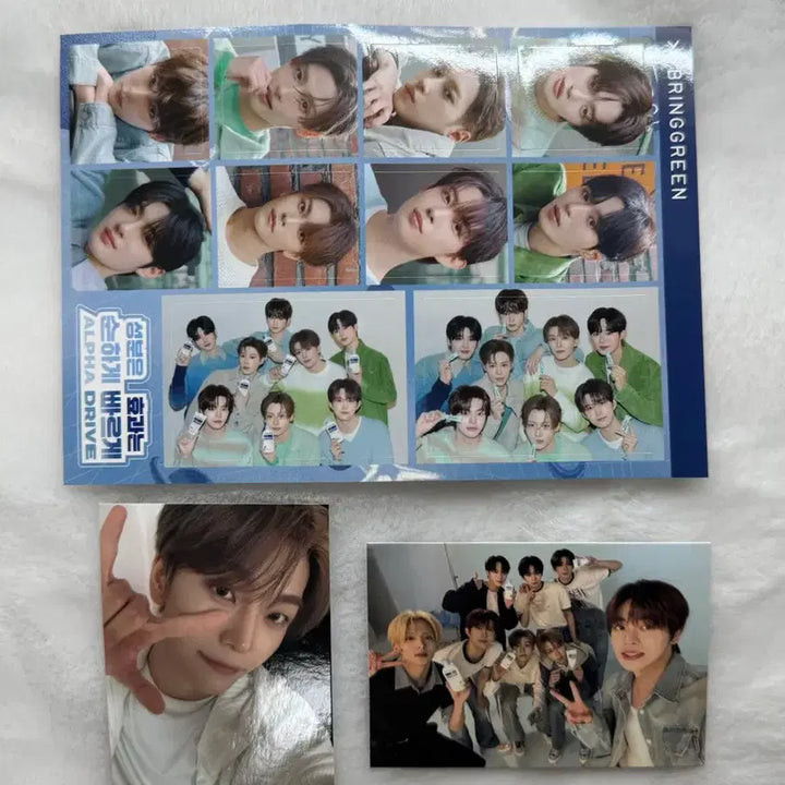 [BUNJANG] Bring Green SinRong Photocard / 브링그린 알디원 씬롱 랜덤포카 포카 양도 브링그린 콜라보