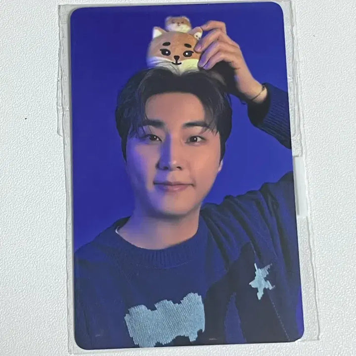 [BUNJANG] Day6 Young K 2025 Concert POB Photocard / (미개봉)데이식스 영케이 2025 클콘 5만원 포카