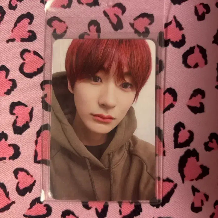 [BUNJANG] RIIZE Anton Hoodie Photocard / 라이즈 앤톤 후드티 포토카드