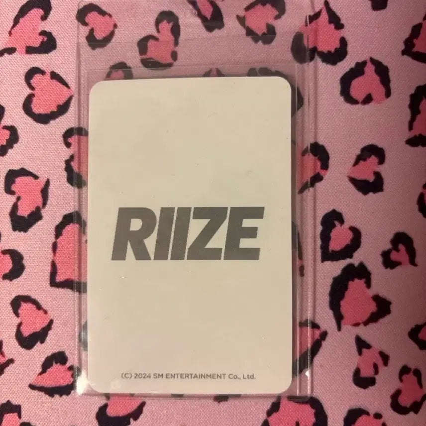 [BUNJANG] RIIZE Anton Hoodie Photocard / 라이즈 앤톤 후드티 포토카드