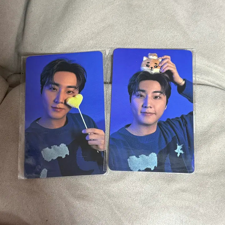 [BUNJANG] Day6 Young K Photocard Set / 데이식스 클콘 온라인 5만원 포카 영케이 세트