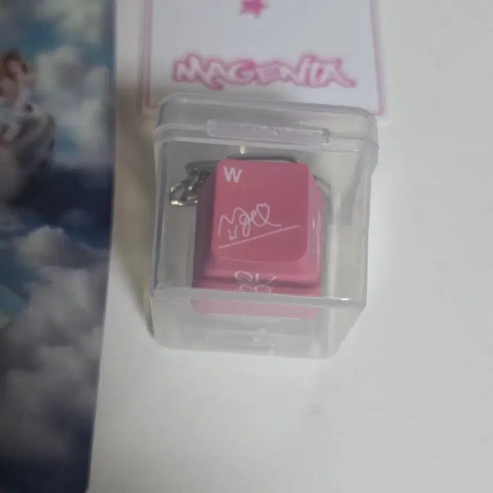 [BUNJANG] QWER World Tour Singapore MD Keycap / QWER 월드투어 싱가포르 MD 키캡 젠타