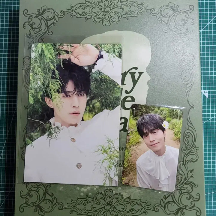 [BUNJANG] Lee Dong Wook 2025 Season&