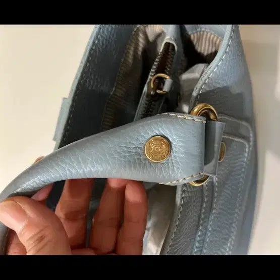 [BUNJANG] Celine Boogie Tote Bag Leather / 정품))셀린느 부기 토드백 레더