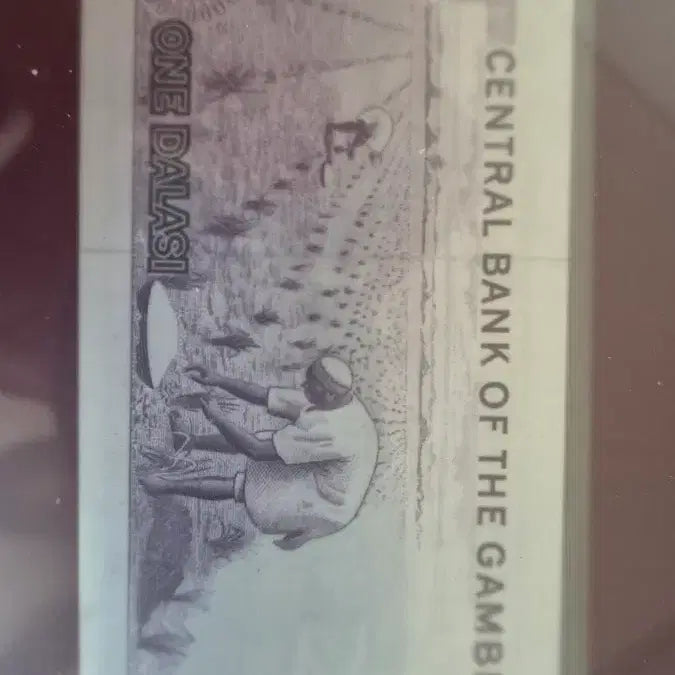 [BUNJANG] Franklin Mint Gambia 1 Dalasi Banknote / 해외주화, 감비아 1달라시 지폐 (프랭클린 민트 )