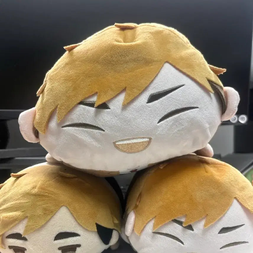 [BUNJANG] N/A Atsumu Potekoro Big Plush / 미야 아츠무 포테코로링 big