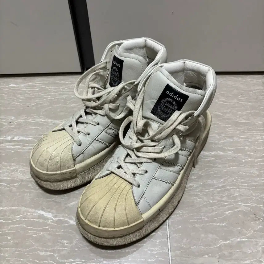 [BUNJANG] Rick Owens Mastodon / 릭오웬스 마스토돈 255