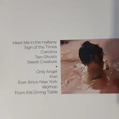 [BUNJANG] [미개봉LP] 해리 스타일스 Harry Styles / [미개봉LP] 해리 스타일스 Harry Styles