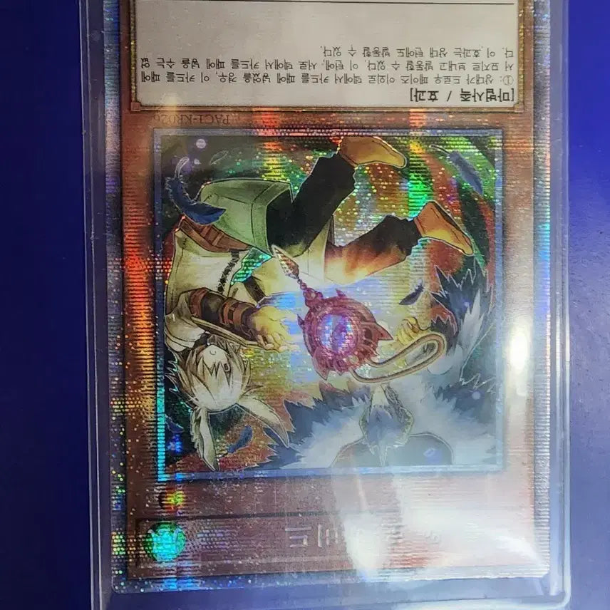 [BUNJANG] Droll &amp; Lock Bird Prismatic Secret Rare Card / 드롤 로크 버드 프식