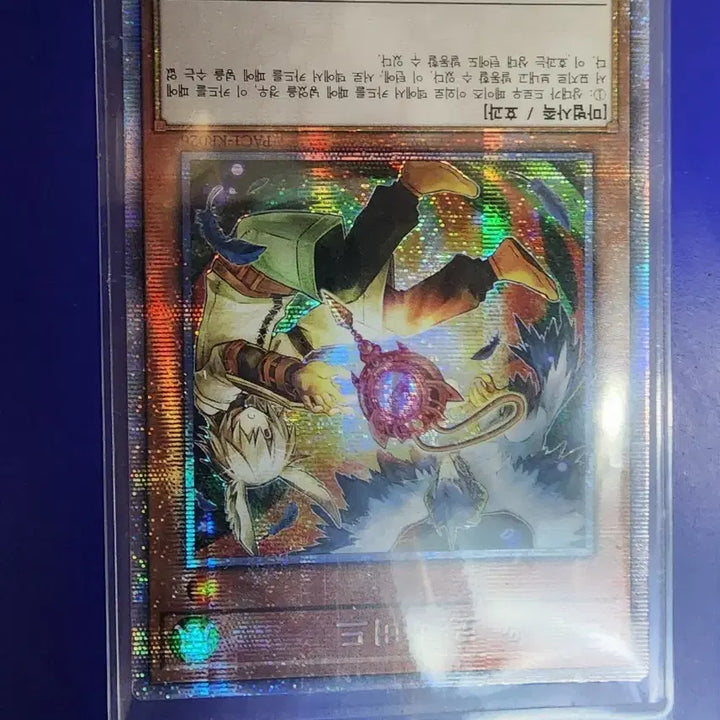[BUNJANG] Droll &amp; Lock Bird Prismatic Secret Rare Card / 드롤 로크 버드 프식