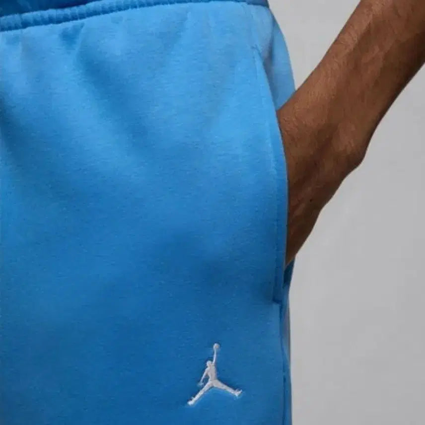[BUNJANG] Nike Air Jordan Jogger Pants - FV7277 (L) / 새상품)나이키 L 에어조던 조거팬츠 FV7277 469
