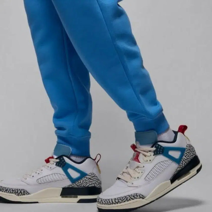 [BUNJANG] Nike Air Jordan Jogger Pants - FV7277 (L) / 새상품)나이키 L 에어조던 조거팬츠 FV7277 469