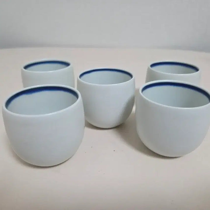 [BUNJANG] Vintage Ceramic Sake Set / 빈티지 도자기 술병 세트 (사케/정종)