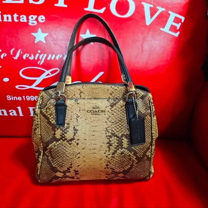 [BUNJANG] COACH Python Minetta Embossed Leather Tote Bag / 코치(COACH) 파이톤 미네타 엠보싱 가죽 토트백