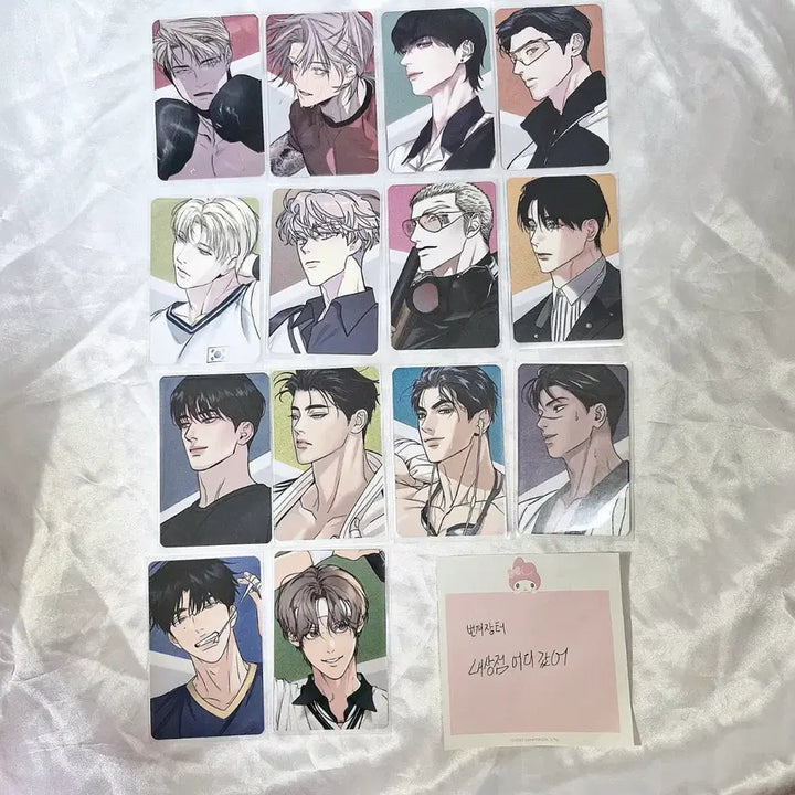 [BUNJANG] Team Resin A Photocard Bundle Set / 2024레진시그 팀레진 A포토카드 드볼 일괄