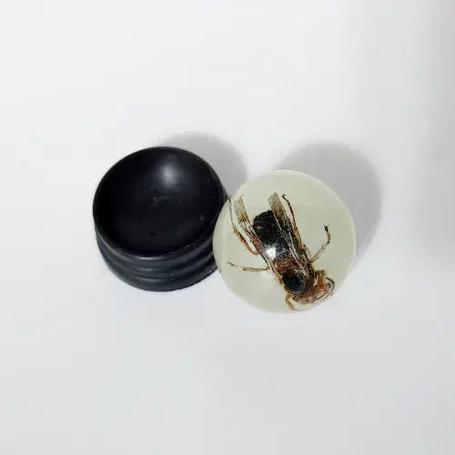 [BUNJANG] Real Wasp Glow-in-the-Dark Marble Accessory / 실제 말벌 들어있는 야광구슬 액세서리 / 장식품