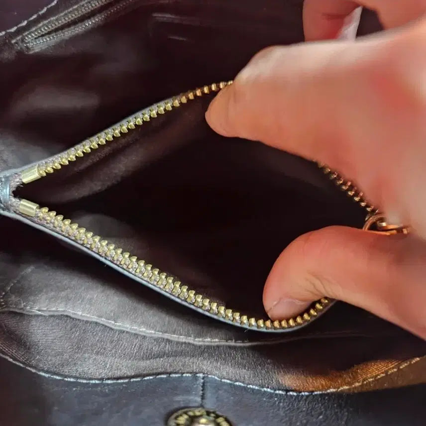 [BUNJANG] COACH Python Minetta Embossed Leather Tote Bag / 코치(COACH) 파이톤 미네타 엠보싱 가죽 토트백