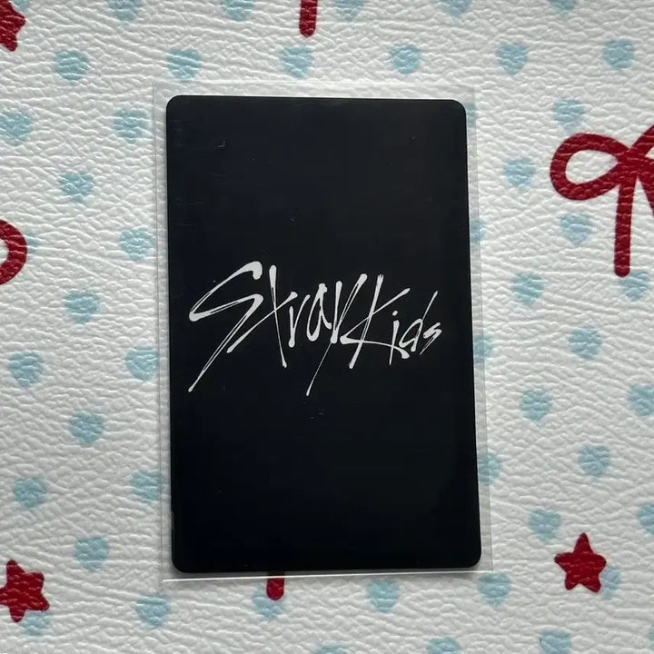 [BUNJANG] Stray Kids Seungmin Photocard / stray kids 스트레이 키즈 공방 포카 승민