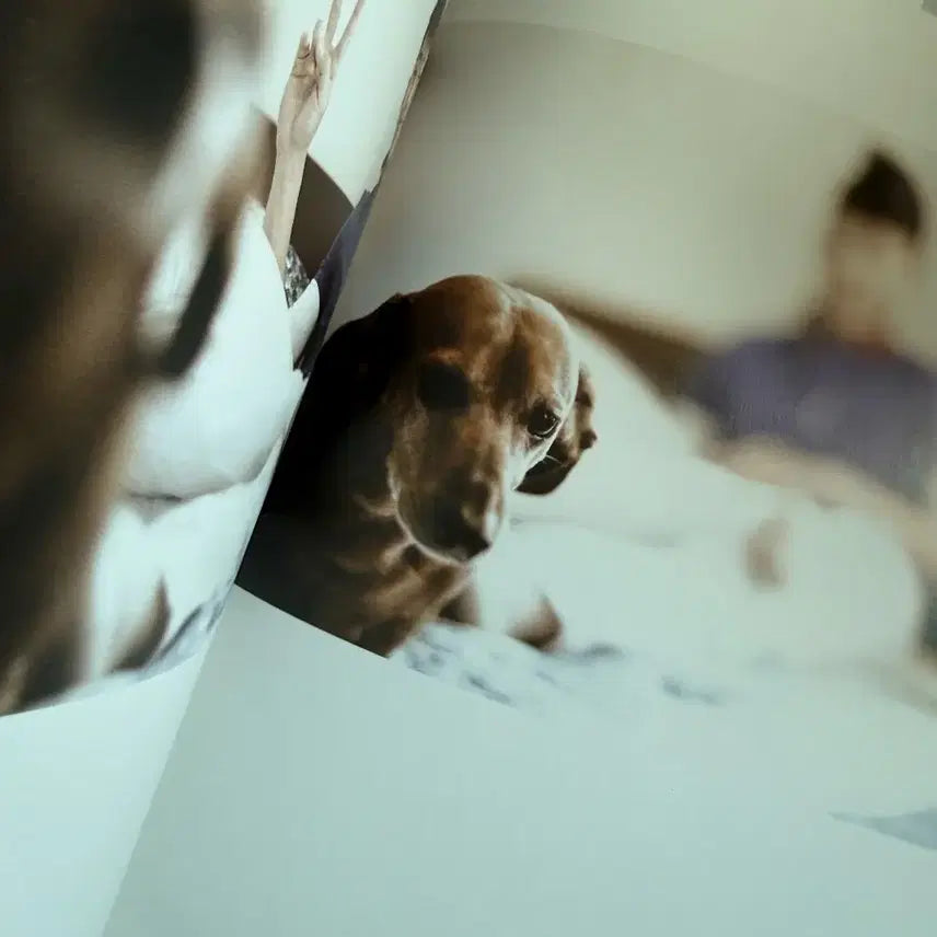 [BUNJANG] Jay Park Just Me Photobook / 박재범 포토북 just me, jay