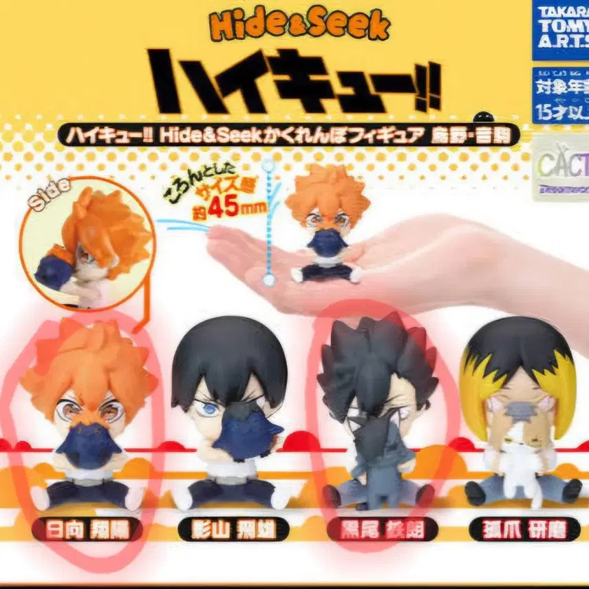 [BUNJANG] Haikyu Hide &amp; Seek Kuroo &amp; Hinata Bundle Set / 하이큐 hide&amp;seek 가챠 쿠로오&amp;히나타 일괄 양도