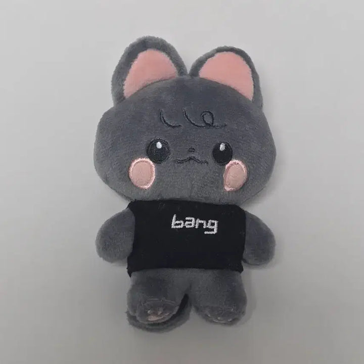 [SOLD OUT] [스키즈/비공굿] 차니뽀 10cm 방찬 비공식인형