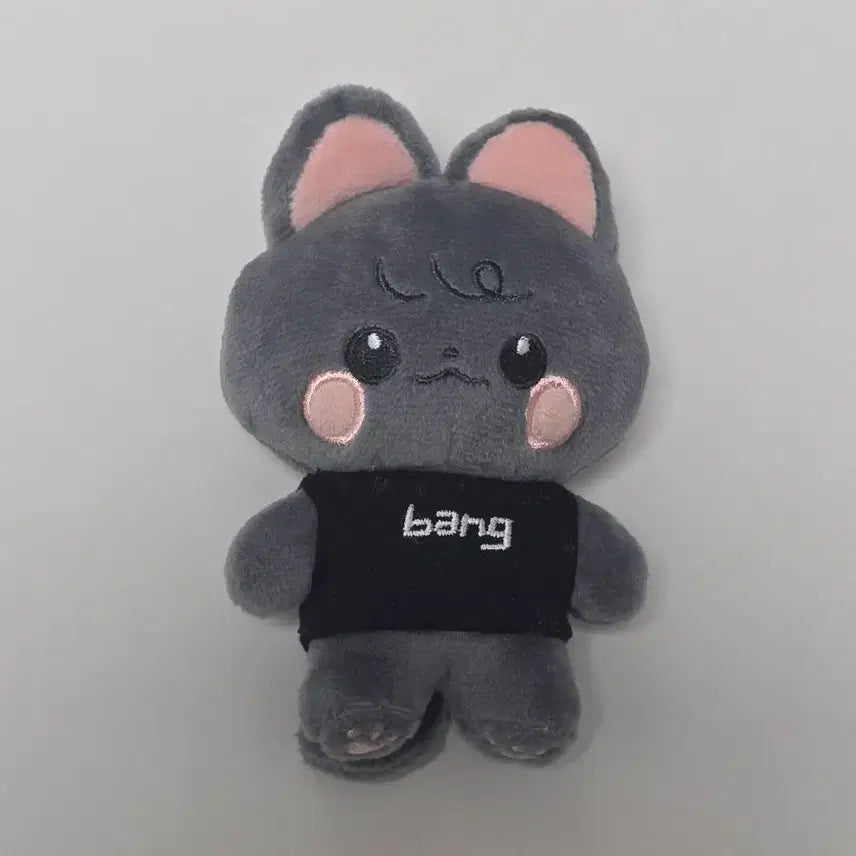 [SOLD OUT] [스키즈/비공굿] 차니뽀 10cm 방찬 비공식인형