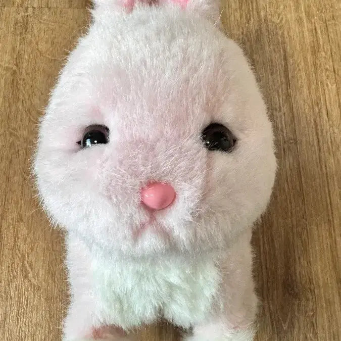 [BUNJANG] Tosome Bunny Doll / 토솜이 팝니다.