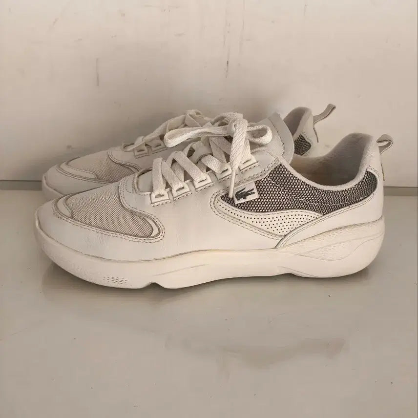 [BUNJANG] Lacoste Wildcard Sneakers / 270mm 라코스테 와일드카드 운동화