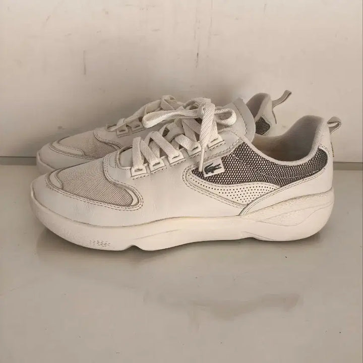 [BUNJANG] Lacoste Wildcard Sneakers / 270mm 라코스테 와일드카드 운동화