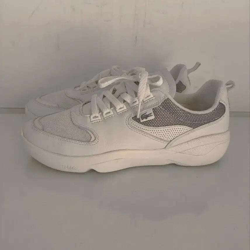 [BUNJANG] Lacoste Wildcard Sneakers / 270mm 라코스테 와일드카드 운동화