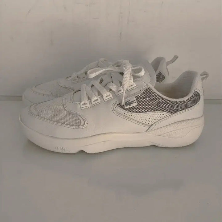 [BUNJANG] Lacoste Wildcard Sneakers / 270mm 라코스테 와일드카드 운동화