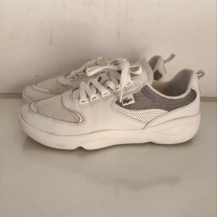 [BUNJANG] Lacoste Wildcard Sneakers / 270mm 라코스테 와일드카드 운동화