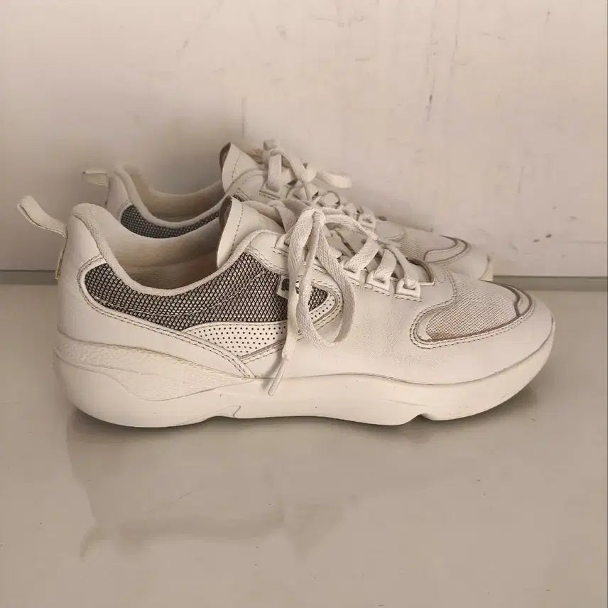 [BUNJANG] Lacoste Wildcard Sneakers / 270mm 라코스테 와일드카드 운동화
