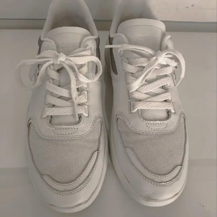 [BUNJANG] Lacoste Wildcard Sneakers / 270mm 라코스테 와일드카드 운동화