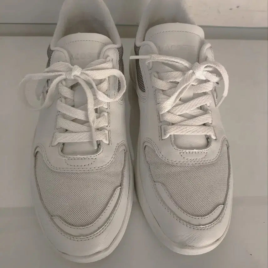 [BUNJANG] Lacoste Wildcard Sneakers / 270mm 라코스테 와일드카드 운동화